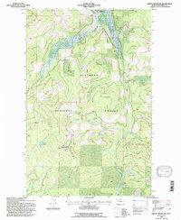 Ashley Mountain 1994 topographic map thumbnail