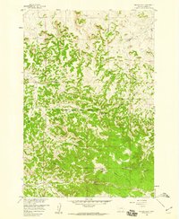 Badger Peak 1958 topographic map thumbnail