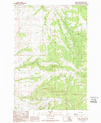 Baggs Creek 1989 topographic map thumbnail