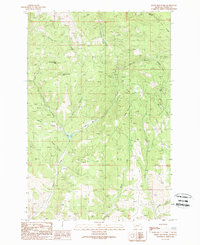 Bailey Mountain 1989 topographic map thumbnail
