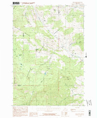 Bald Knob 1987 topographic map thumbnail