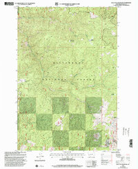 Bald Top Mountain 1998 topographic map thumbnail