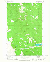Baldy Lake 1964 topographic map thumbnail