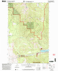 Baldy Lake 1999 topographic map thumbnail
