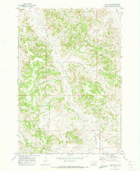 Baldy Peak 1970 topographic map thumbnail