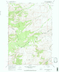 Bannock Pass 1965 topographic map thumbnail