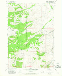 Bannock Pass 1965 topographic map thumbnail