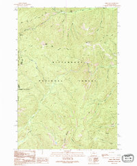 Bare Cone 1991 topographic map thumbnail