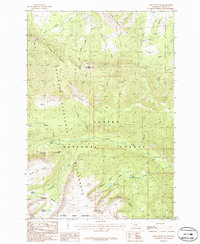 Bare Mountain 1986 topographic map thumbnail