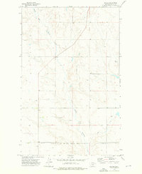 Baylor 1973 topographic map thumbnail