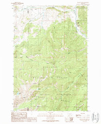 Beacon Point 1988 topographic map thumbnail