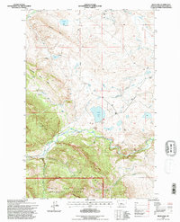 Bean Lake 1995 topographic map thumbnail