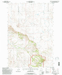 Beaver Flats South 1993 topographic map thumbnail
