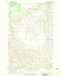 Belle Prairie 1967 topographic map thumbnail