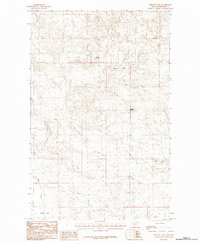 Bennett Lake 1984 topographic map thumbnail