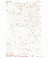 Bennett Lake NW 1984 topographic map thumbnail