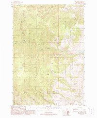 Big Draw 1988 topographic map thumbnail