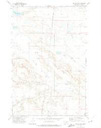 Big Flat East 1971 topographic map thumbnail