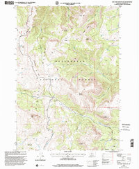 Big Horn Mountain 1997 topographic map thumbnail