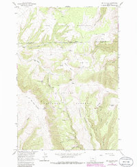 Big Ice Cave 1964 topographic map thumbnail