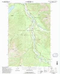 Big Salmon Lake East 1994 topographic map thumbnail