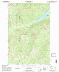 Big Salmon Lake West 1994 topographic map thumbnail