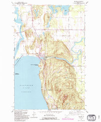 Bigfork 1991 topographic map thumbnail