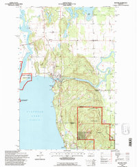 Bigfork 1994 topographic map thumbnail