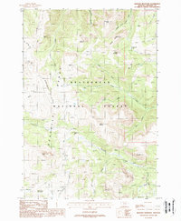 Bighorn Mountain topographic map thumbnail