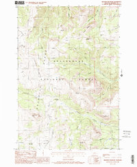 Bighorn Mountain 1988 topographic map thumbnail