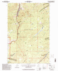 Bison Canyon 1996 topographic map thumbnail