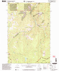 Bison Mountain 2001 topographic map thumbnail