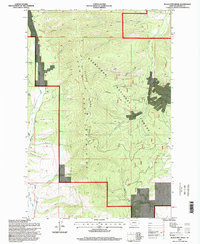 Black Pine Ridge 1996 topographic map thumbnail