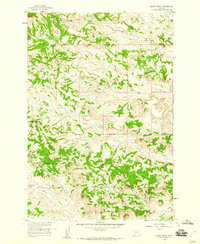 Black Spring 1958 topographic map thumbnail