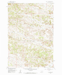 Black Spring 1958 topographic map thumbnail