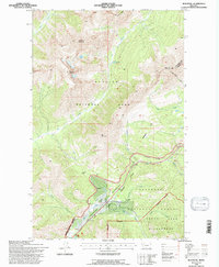 Blacktail 1994 topographic map thumbnail