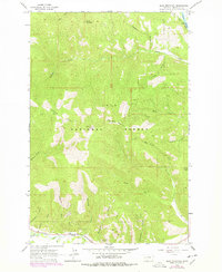 Blue Mountain 1964 topographic map thumbnail