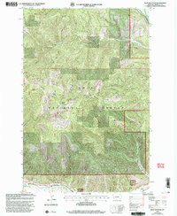 Blue Mountain 1999 topographic map thumbnail