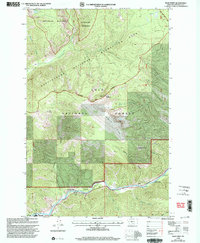 Blue Point 1999 topographic map thumbnail