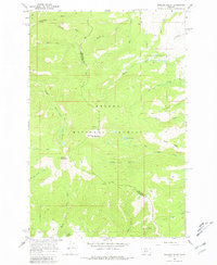 Boulder Baldy 1966 topographic map thumbnail
