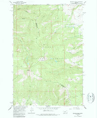Boulder Baldy 1966 topographic map thumbnail