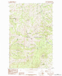 Bowery Peak 1984 topographic map thumbnail
