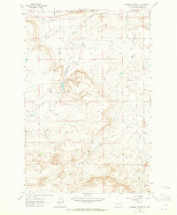 Bowmans Corners NW 1963 topographic map thumbnail