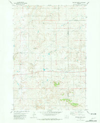 Bracket Butte 1981 topographic map thumbnail