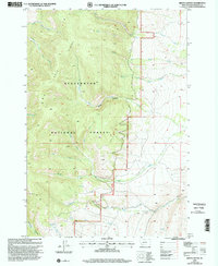 Brays Canyon 1997 topographic map thumbnail