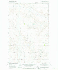 Brockway Spring 1973 topographic map thumbnail