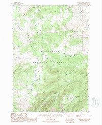 Broomtail Ridge 1988 topographic map thumbnail
