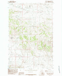 Brown Spring 1985 topographic map thumbnail