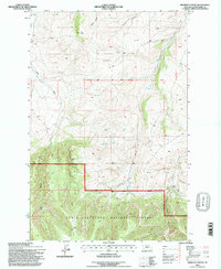 Browns Canyon 1995 topographic map thumbnail