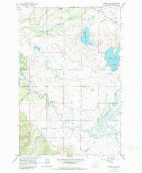Browns Lake 1965 topographic map thumbnail